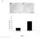 Fig. 09 - COMPOUNDS FOR TREATING PAIN
