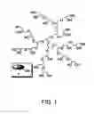 Fig. 02 - Compounds suited as nanocarriers for active agents and their use