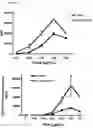 Fig. 20 - Method for Preclinical Testing of Immunomodulatory Drugs