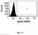 Fig. 02 - Interfering RNA delivery system and uses thereof