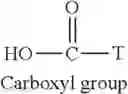 Fig. 09 - Modified bio-related substance, process for producing the same, and intermediate