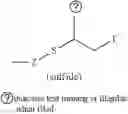Fig. 22 - Modified bio-related substance, process for producing the same, and intermediate