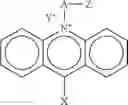 Fig. 04 - Chemiluminescent Compounds