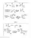 Fig. 04 - Methods Of Coupling Multidentate AZA Ligands To Targeting Molecules