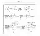 Fig. 08 - Methods Of Coupling Multidentate AZA Ligands To Targeting Molecules