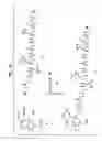 Fig. 16 - Methods Of Coupling Multidentate AZA Ligands To Targeting Molecules