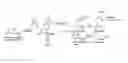 Fig. 01 - Process of preparing conjugates of allium organosulfur compounds with amino acids, peptides, and proteins