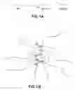 Fig. 02 - MULTIMERIC ELP FUSION CONSTRUCTS