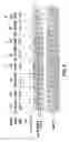 Fig. 06 - MULTIMERIC ELP FUSION CONSTRUCTS