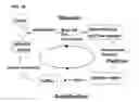 Fig. 03 - Method for generating aptamers with improved off-rates
