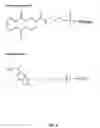 Fig. 08 - Method for generating aptamers with improved off-rates