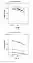 Fig. 08 - Hepatitis C virus codon optimized non-structural NS3/4A fusion gene