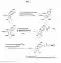 Fig. 04 - Nucleic acid labeling compounds