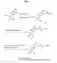 Fig. 08 - Nucleic acid labeling compounds