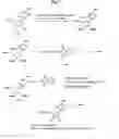 Fig. 09 - Nucleic acid labeling compounds