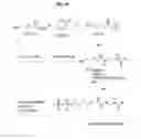 Fig. 12 - Nucleic acid labeling compounds