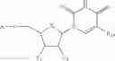 Fig. 19 - Nucleic acid labeling compounds