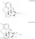 Fig. 04 - Process for the preparation of quaternary N-alkyl morphinan alkaloid salts