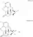 Fig. 05 - Process for the preparation of quaternary N-alkyl morphinan alkaloid salts