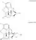 Fig. 06 - Process for the preparation of quaternary N-alkyl morphinan alkaloid salts