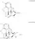 Fig. 07 - Process for the preparation of quaternary N-alkyl morphinan alkaloid salts