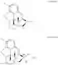 Fig. 16 - Process for the preparation of quaternary N-alkyl morphinan alkaloid salts