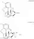 Fig. 19 - Process for the preparation of quaternary N-alkyl morphinan alkaloid salts