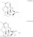 Fig. 20 - Process for the preparation of quaternary N-alkyl morphinan alkaloid salts