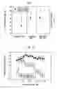 Fig. 08 - METHOD AND SYSTEM FOR DETECTING ELECTROPHYSIOLOGICAL CHANGES IN PRE-CANCEROUS AND CANCEROUS TISSUE AND EPITHELIUM