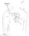 Fig. 02 - Cardiac risk stratification