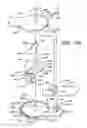 Fig. 14 - Orthopedic brace having a length-adjusting mechanism and a lockable rotation hinge
