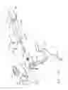 Fig. 64 - Reloadable Laparoscopic Fastener Deploying Device