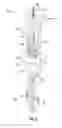 Fig. 04 - WOUND CLOSURE DEVICE INCLUDING RELEASABLE BARBS