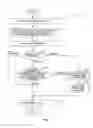 Fig. 08 - Shared script files in multi-tab browser