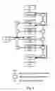 Fig. 07 - SIMD array operable to process different respective packet protocols simultaneously while executing a single common instruction stream