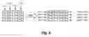 Fig. 09 - Interleaved correction code transmission