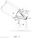 Fig. 02 - PANT LEG RETAINING DEVICE