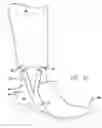 Fig. 04 - PANT LEG RETAINING DEVICE