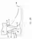 Fig. 05 - PANT LEG RETAINING DEVICE