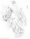 Fig. 07 - Patient handling device