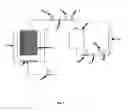 Fig. 02 - APPARATUS AND METHOD FOR PRODUCTION OF NATURAL DYE