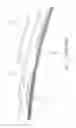 Fig. 02 - Wiper blade for vehicle