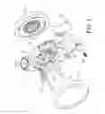 Fig. 02 - Wheel seat reinforcement structure