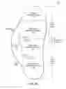 Fig. 09 - Orthotic devices and methods for manufacturing same