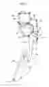 Fig. 02 - Accelerator pedal apparatus