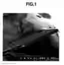 Fig. 02 - Flaky Material and Process for Producing the Flaky Material