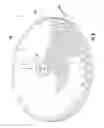 Fig. 09 - Multi-rotation epitaxial growth apparatus and reactors incorporating same