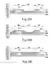 Fig. 22 - Nano filter structure for breathing and manufacturing method thereof