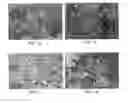 Fig. 02 - Production of coated tobacco particles suitable for usage in a smokeless tobacoo product