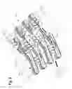 Fig. 09 - Multi-pass, inverting bottle cleaner